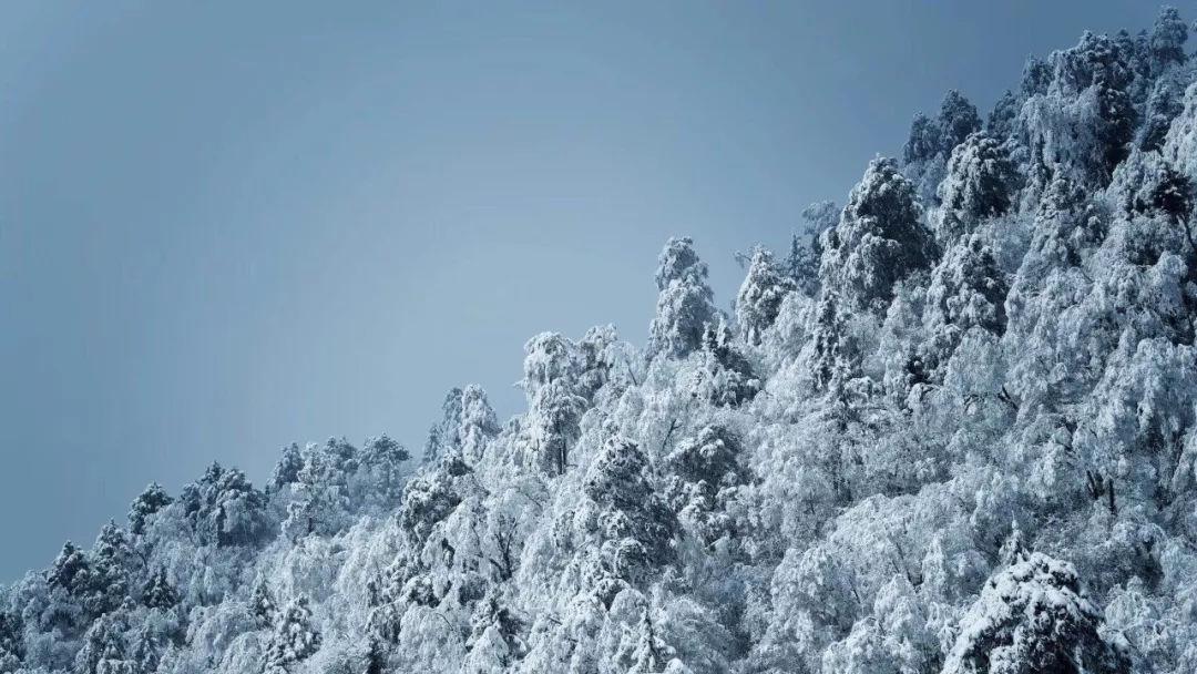 日本经济界代表团时隔4年访华,传递什么信号?