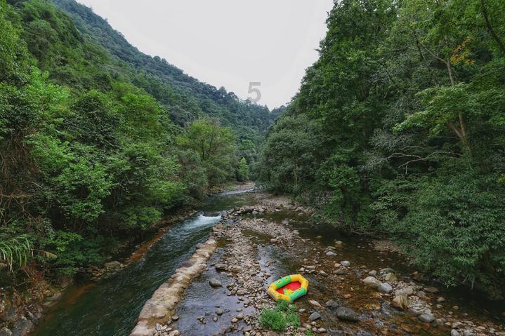 秘密实验室逃生