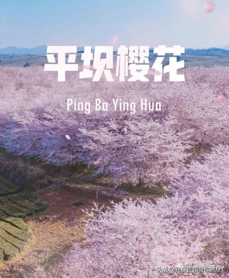 今天女孩说辛苦你还跑一趟怎么回复她？游戏画面