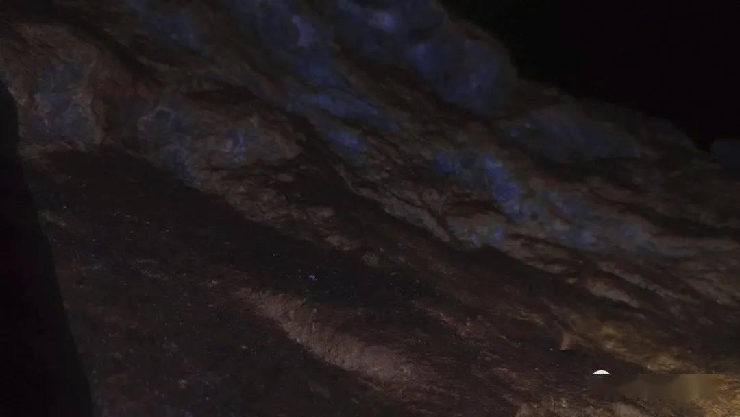 万万没想到，仅仅一档综艺，大湾区女星狠狠打了内娱明星的脸