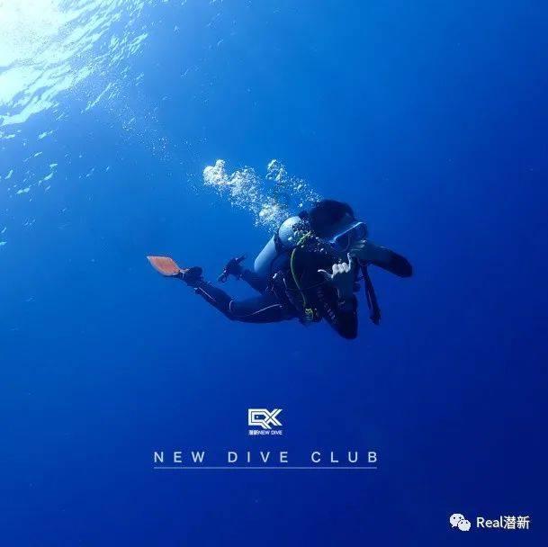 鬼吹灯之牧野诡事H5