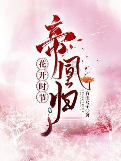 小猫钓鱼正版下载中文版