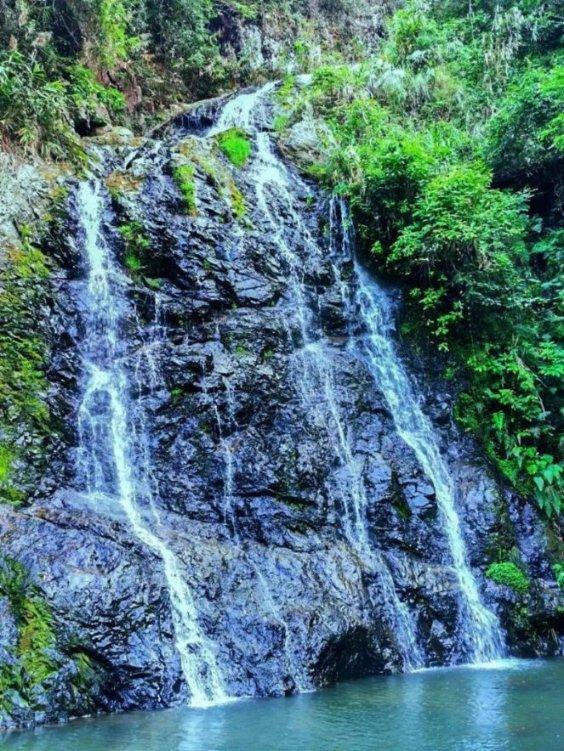 轻信“代理退保”是救命稻草,结果却是踏入陷阱的开始