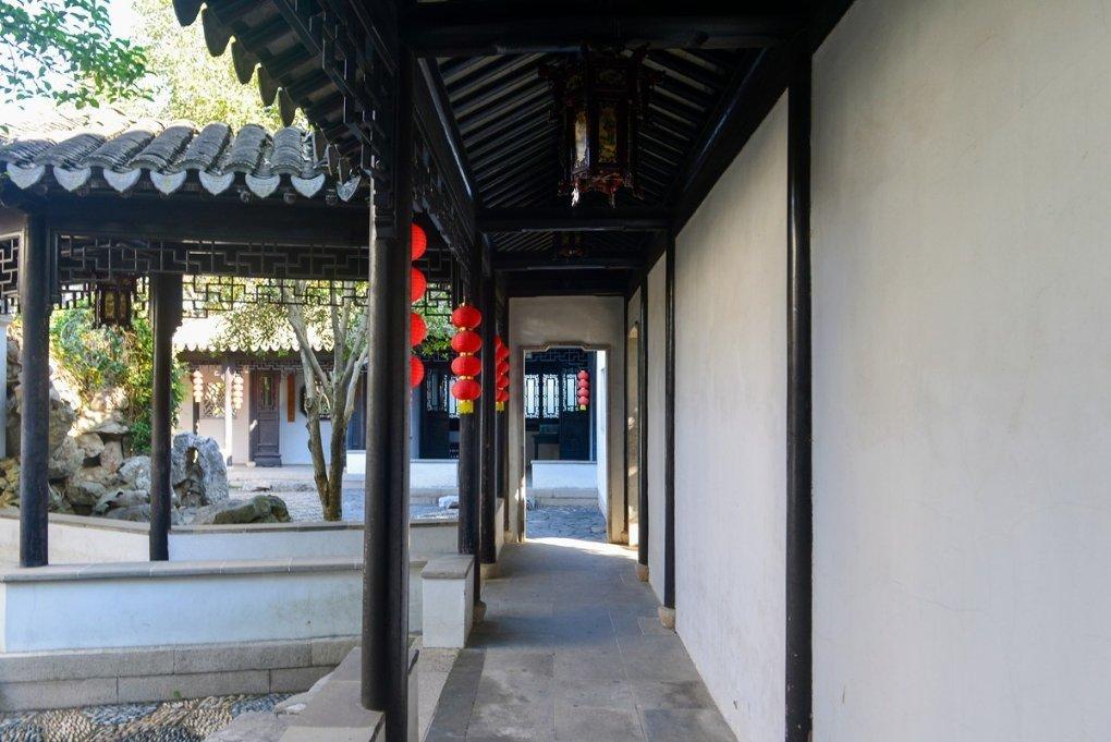 如何用显微镜观察藻类？游戏画面