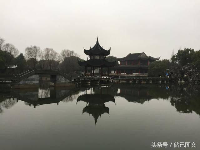 哪个品种的香蕉最好吃