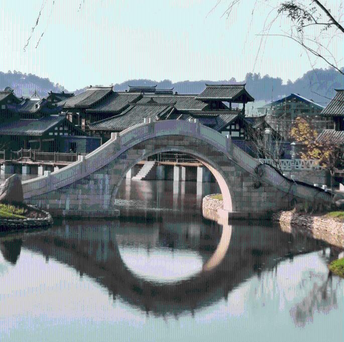 眼镜蛇秘密行动